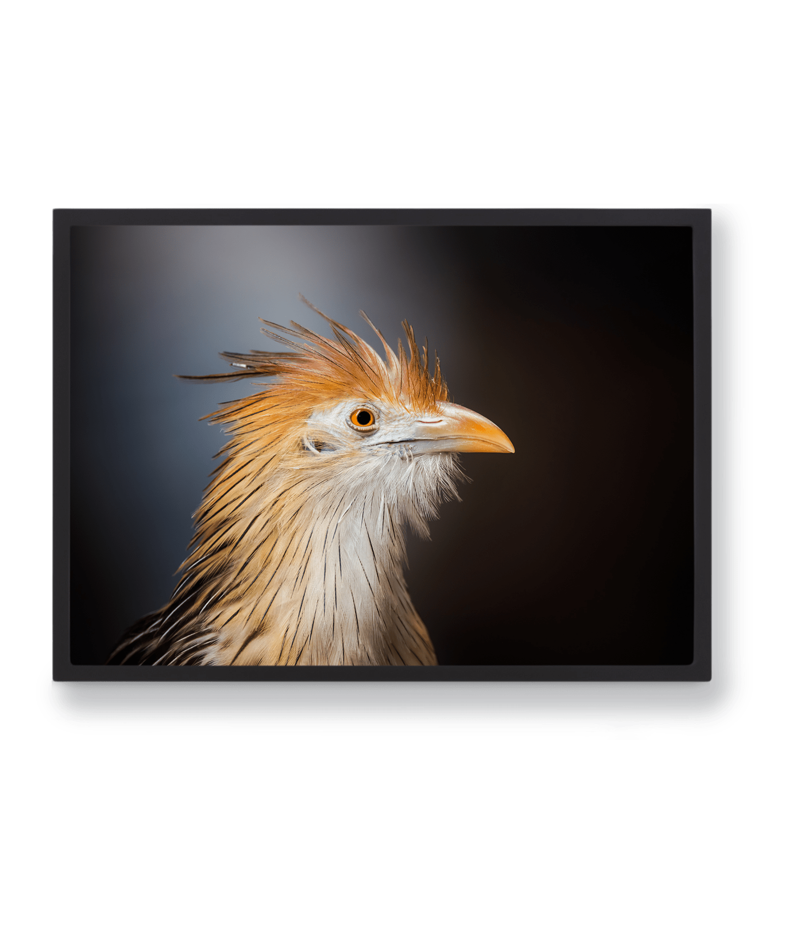 Papier d&rsquo;art<br> Regard du Guira
